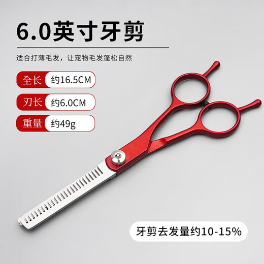 Tanizaki Pet Grooming Scissors Universal Professional 7-inch Shearing Tool for Cats and Dogs Safe and Anti-punch Design zr6.0/Round Head Anti-punch-Dental Scissors