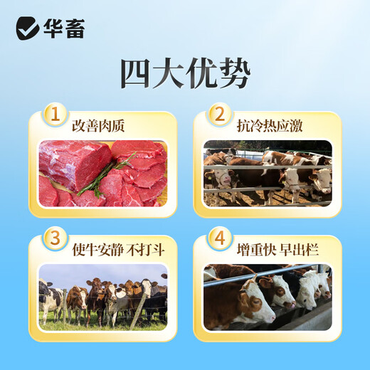 Huazhu 4% beef cattle fattening compound premix bovine peptide energy growth compound weight gain vitamin trace element feed 1 bag 4% beef cattle and sheep fattening premix 40Jin Jin equals 0.5kg