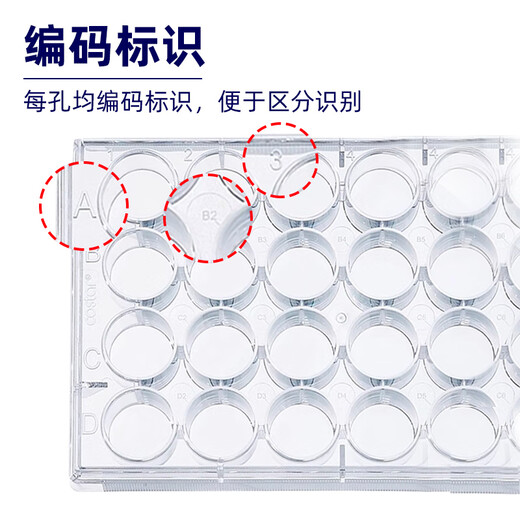 Corning Corning Cell Culture Plate 6 puits 12 puits 24 puits 48 puits 96 puits avec couvercles 1 Corning 352424 puits