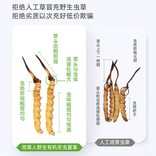 挖草人【真】 野生冬虫夏草 西藏野生虫草中老年人养生滋补品礼盒礼品 野生虫草  5克断草