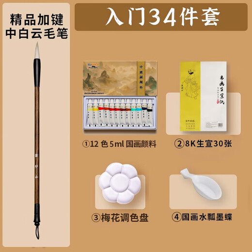 Surada Chinese Painting Pigments Chinese Painting Pigments Chinese Painting Pigment Set Beginner Students Children's Ink Painting Landscape Painting Set 12 Colors 6ml Starter Set SD132