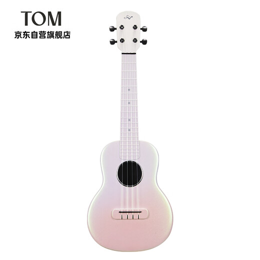Tom Ukulele Nalu Serie Carbonfaseranfänger Kinder kleiner Gitarre 23-Zoll-N1xps