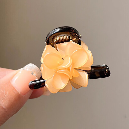 Hongyun Flower Small Clip for Women with Broken Hair and Bangs 2025 New Simple Temperament Hairpin Side Hairpin Headwear Coffee Colored Flower F278