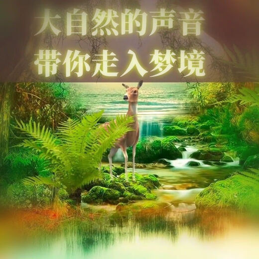 White sleep-aiding vocal music, nature sounds, pure music, noise, birdsong, decompression, running water sound, MP3 healing USB flash drive, dripping water, nature pure music, 520 minutes, USB flash drive