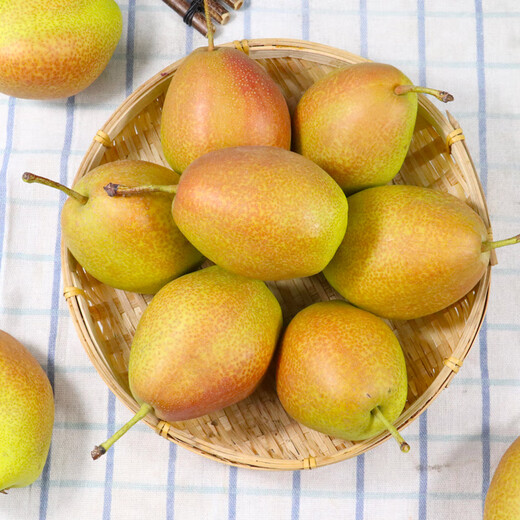 京鲜鲲山西红香酥梨 新鲜水果 酥梨现摘水果脆甜梨子生鲜 5斤活动装（净重4.5斤）