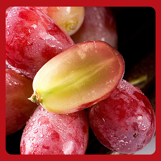 Jingxiansheng Clenson seedless red grapes, net weight 2Jin Jin is equal to 0.5kg, packed grape/raisin Clenson fresh fruit, straight from the source