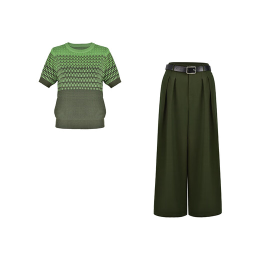 Difelig European and American short-sleeved wide-leg pants suit for women 2025 summer new style unique and beautiful summer two-piece set picture color S