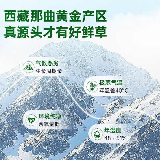 源江草【西藏那曲】2025年正宗野生新鲜冬虫夏草高端滋补礼盒送父母长辈 野生鲜草1.0-1.2克/根 50根