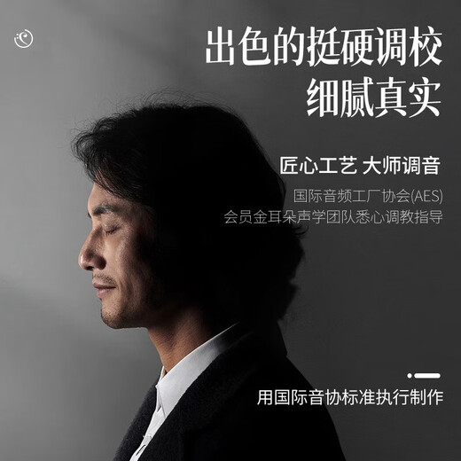 天鹅（SWAN）进口音簧28孔复音口琴ABCDEFG调初学者入门成人专业演奏送礼乐器 【高级演奏款】28孔复音B调（磨砂不留指纹）