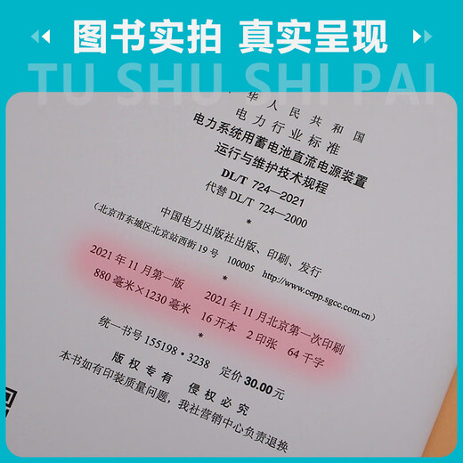 【按需印刷】DL/T 724-2021 电力系统用蓄电池直流电源装置运行与维护技术规程（代替DL/T 724-2000）