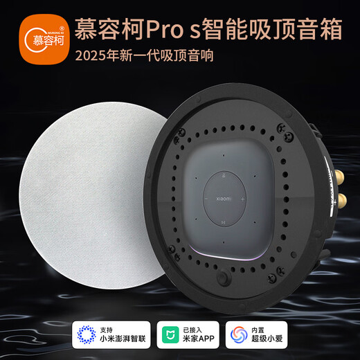 MURONG KE PLADER SPEAUX PRO PRO HOME MUSIQUE BASS BASS INTÉRIEUR INTÉRIEUR AI LA VOIGNE CONTRÔLE LA MAISON A ÉTÉ CONNECTÉ À LA MIJIA APPLOC