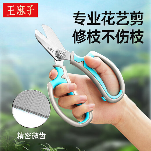 Wang Mazi floral scissors, pruning shears, gardening scissors, fruit tree potted flowers, flower branch scissors, professional floral scissors