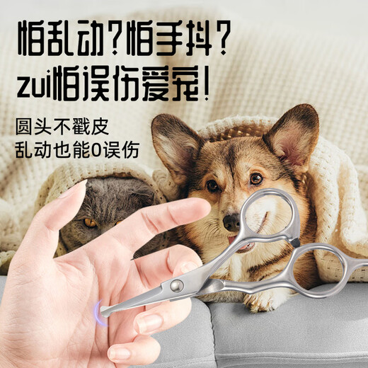 Maomi Pet Shearing Scissors Professional Set Cat and Dog Hair Trimming Novice Grooming Scissors Round Head Safety Scissors Pet Safety Grooming Scissors Set
