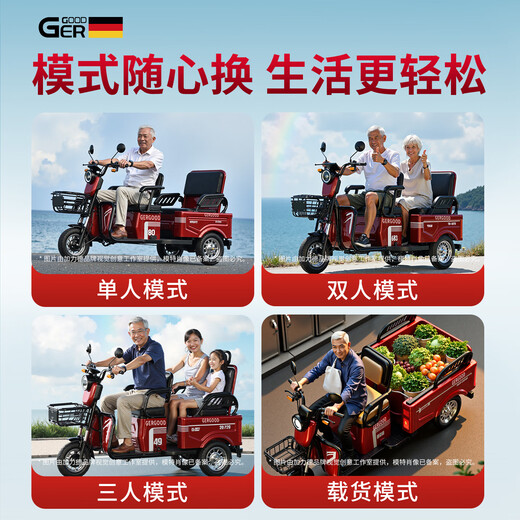 Galide high-power electric tricycle with shed for household use, small scooter for the elderly, mountain hauling, long-range electric tricycle, 48V600W naked bike (battery charger not included)