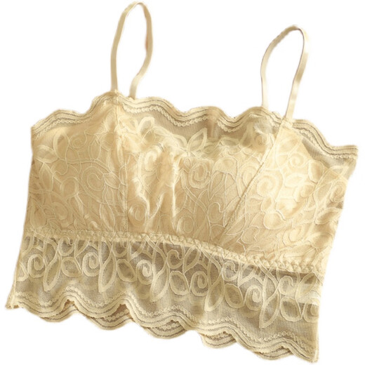 ZOCI beautiful back underwear women's anti-exposure with padded lace tube top gathered chest camisole women's thin sexy underwear black one size (80---115Jin Jin equals 0.5 kg)