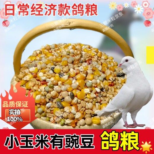 New pigeon food 20 Jin Jin is equal to 0.5 kg. Corn-free pigeon food has corn. Pigeon feed racing nutrition. Pigeon food for adult and young pigeons. 5 Jin Jin is equal to 0.5 kg. Pigeon food with corn and peas. 10 Jin Jin is equal to 0.5 kg.
