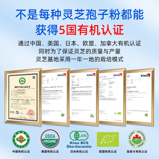HongShou Break Wall Ganoderma Lucidum Spore polvo Pequeña caja azul Changbaishan Plantación orgánica [Pack de prueba] 4G/Box