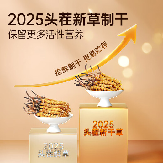 Ayishe Tibet Naqu groß gebrochene Cordyceps 10 Gramm Authentische wilde Cordyceps Ernährungszucker Zucker Ernährungsprodukte für Eltern und Älteste