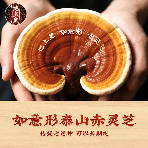 Emperor's Broken Ganoderma Spore Powder 60g Bag Red Ganoderma Enhances Immunity Non-Changbai Mountain Ganoderma Powder Annual Strengthening 16 Free 8 Get 24 Boxes