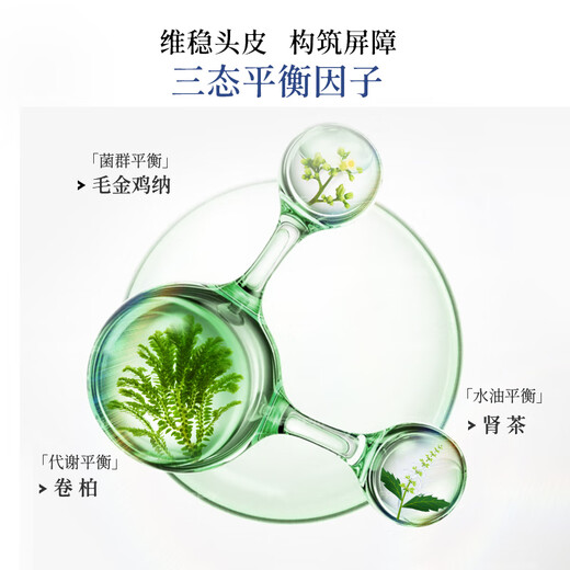 Shulin Anti-Dandruff-Anti-Ch-Shampoo-Ölkontrolle erfrischend Shampoo Remover Fluffy Shampoo 8ml