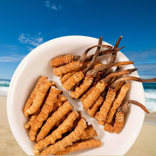 Cordyceps sinensis broken grass high altitude Tibetan area snowy areas selected Cordyceps sinensis pure meat section dried Cordyceps nourishing Cordyceps sinensis Tibetan area Cordyceps sinensis big broken grass 11 grams