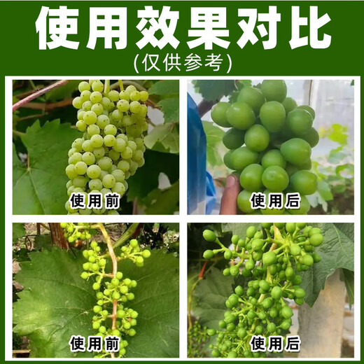 0.1% chlorfenuron growth regulator chlorfenuron special growth regulator for grape fruit trees genuine pesticide 100g*1 bottle welfare model