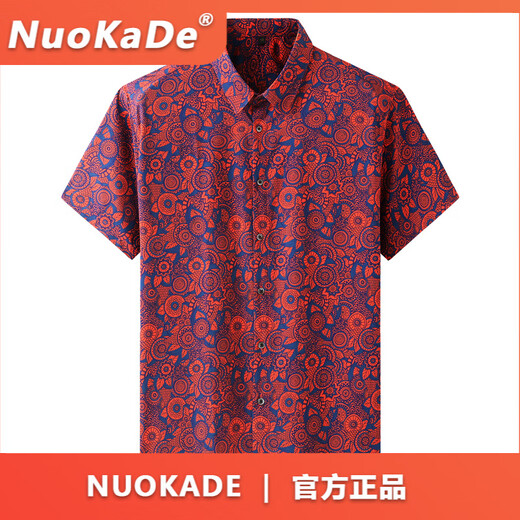FDRENU欧美大码男装短袖衬衫男潮胖子休闲薄款冰丝花衬衣夏 9207白色 L 175_【120-140斤】