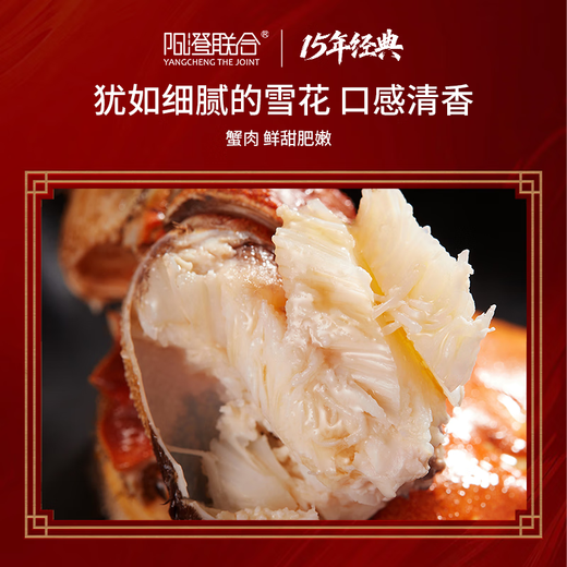 【礼券】阳澄联合大闸蟹礼券螃蟹券蟹卡礼盒礼品卡节日送礼提货券 9855型公6.0两 母5.0两 5对10只