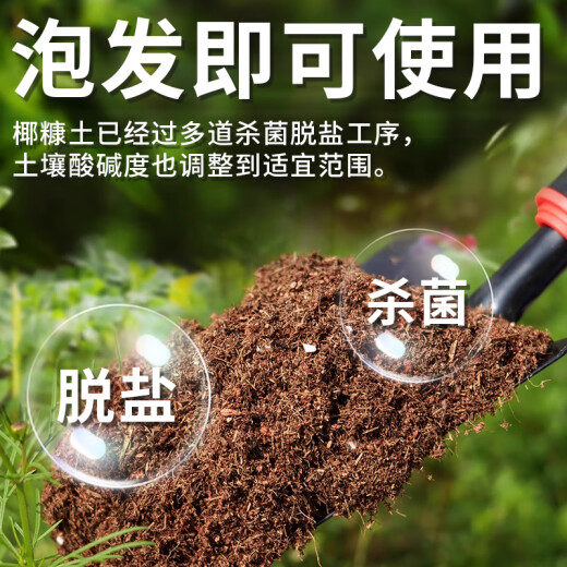 根力豆通用型椰糠砖椰壳砖椰砖营养土通用型养土养花土壤种植土脱盐批发 脱盐椰糠砖【675G五块】