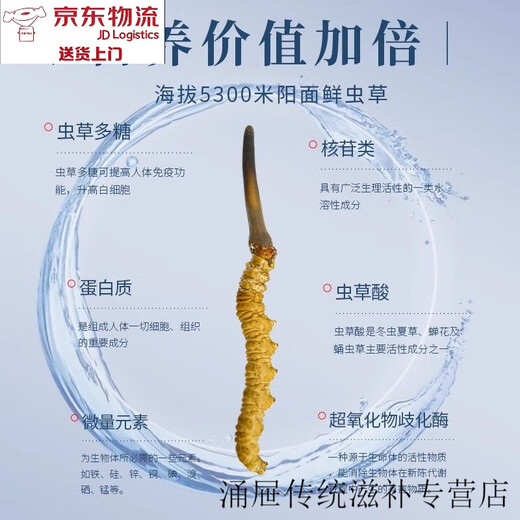 北京同仁堂【黑色星期五】冬虫夏草虫草干货冬虫夏草高品质虫草散装 虫草50根-再送5根