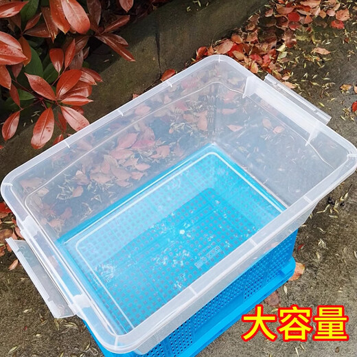 火贝加厚酒店厨房保鲜塑料盒长方形商用大容量超大食品盒冰箱收纳密封 加厚型【9925】