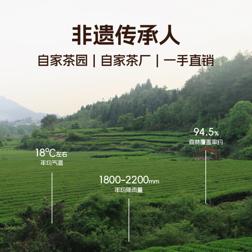 Thé familiale Xiaowen [Recommandé par les anciens clients] Série douce Dahongpao Cinnamon Narcissus Wuyi Rock Tea Tea Food Produits alimentaires Intangible Produits du patrimoine culturel Mellow Dahongpao 149.4g * 1 Boîte (18 trempés)