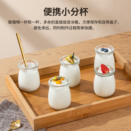 麦舒特德国品质小型家用酸奶机1.2L升大容量全自动多功能纳豆米酒机 【英规】多功能数码版