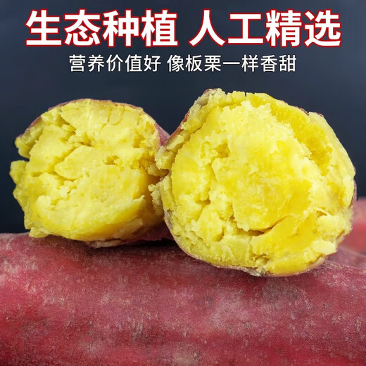 Authentic Shaanxi Chestnut Sweet Potato Fresh Sand Sweet Potato Really Cheap Breakfast Supermarket Live Room JD.com Chestnut Sweet Potato 2Jin Jin equals 0.5kg, including box of small and medium-sized fruits (single pair 1 tael-4 taels)