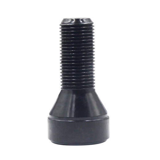 Litian geeignet für BMW-Reifen-Anti-Diebstahl-Schrauben 12357 Serie Miniz4x1 x3 x4 x5 x6 Hubschrauben 055 Muster Anti-Diebstahl-Schrauben Single