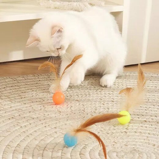 Beiyipin Cat Toy Bouncy Ball Feather Cat Stick Self-Happiness and Boredom Relief Artifact Internet Celebrity Cat Cat Chase Interactive Pet Supplies