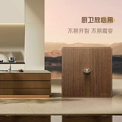 BULL – prise de commutateur rétro en acrylique, panneau ultra-fin, interrupteur à levier à double commande, à ouverture unique, G70K112, couleur noyer