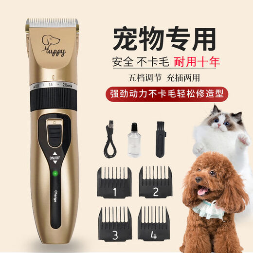 High-power pet electric clipper, dog shaver, cat Teddy grooming clipper, shaving feet, champagne gold daily set, high-power, non-stuck hair clipper