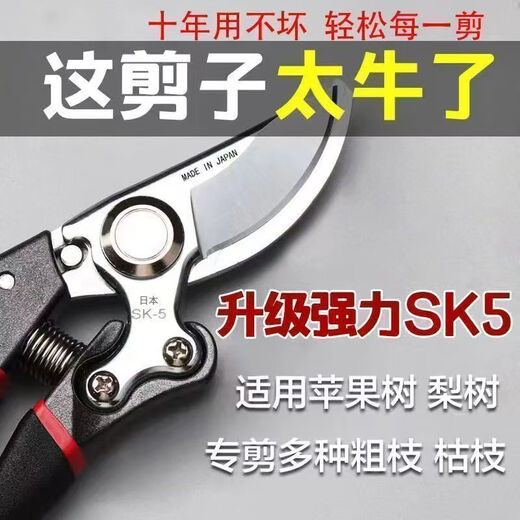 German craftsmanship imported steel branch shears, tree scissors, fruit tree shears, pruning scissors for household flowers, trees and grapes to prune branches. 100% sharp + strong hardness. Not the main picture. On sale. German imported steel blades. Clearance.