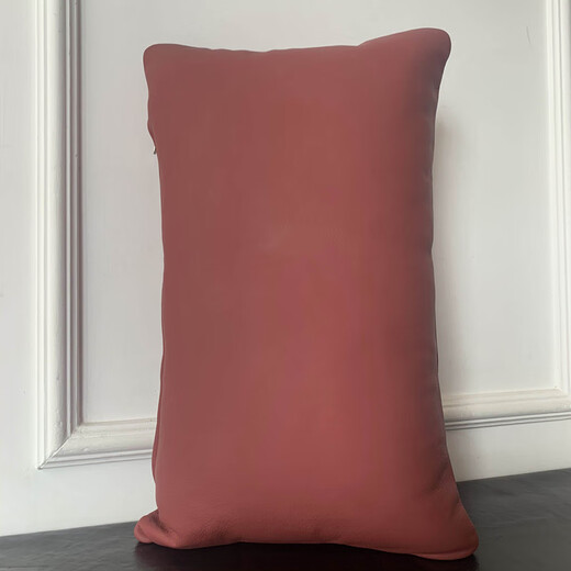 Chenxiang echtes Leder mit großer Kissenschicht Kuhspur Nordic Festkissen Volltülenkissen Rückenlehre D691 Graue doppelseitige Kopfschicht Cowdhide 55x32cm Lederhülle + Kissenkissen Kissen Kissen Hülle