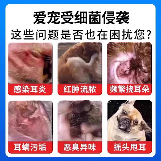 Puxino ear mite ear drops for cats, universal ear drops for dogs and pets, clean ear fungal infection and relieve itching, one box, effective overnight