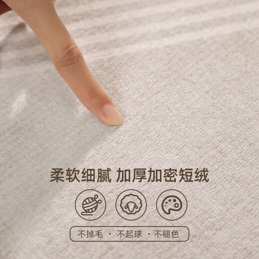 关东宜家地毯客厅2025新款轻奢感沙发地垫免洗可擦家用防水 清蔷-13566 240cm*360cm 【定制 】