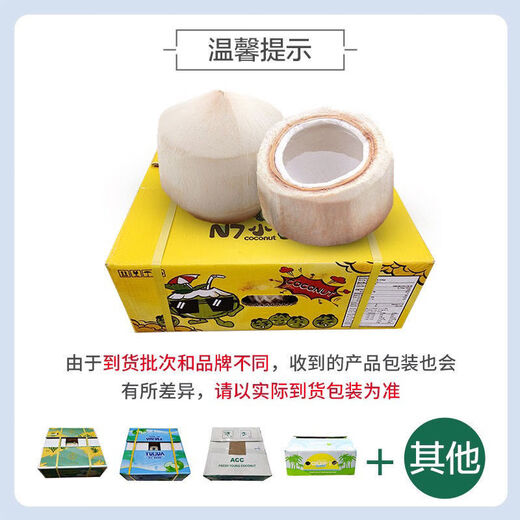 Pinzan Thai Green Coconut 9 single fruits net weight 900g-1000g large coconut fresh fruit