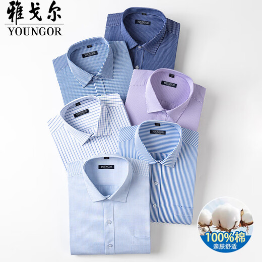 汉麻世家（HANP）雅戈尓雅戈尔男士棉长袖衬衫2025夏新款商务休闲职业正装免烫上衣 6636【星星蓝白】 XL 40 【建议135145斤】