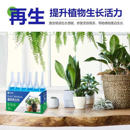 Plant Regeneration Agent Resurrection Liquid Flowers and Green Plants Potted Plants Universal Light Rod Yellowing Money Tree Succulent Growth Nutrient Solution 1 box with 6 bottles in total to rejuvenate + activate dead seedlings