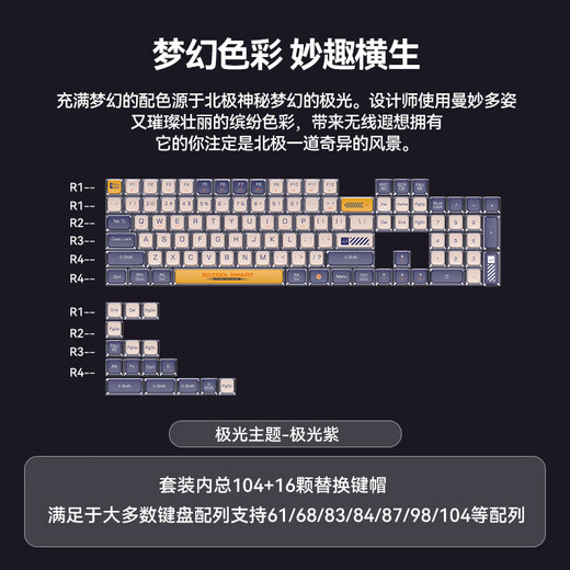 罗技（Logitech）K845机械键盘游戏电竞有线键盘电脑办公键盘个性定制键帽版送男生女友礼物 K845极光紫 红轴