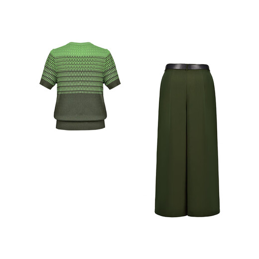 Difelig European and American short-sleeved wide-leg pants suit for women 2025 summer new style unique and beautiful summer two-piece set picture color S