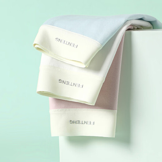 Ropa interior de fenten para mujeres 3 pares de pantalones dos usan 10a antibacteriano algodón puro puro cómodo