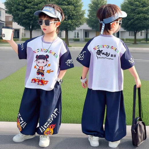 男童套装夏装2025新款中小童哪吒衣服儿童薄款两件套潮酷男孩t恤 825款-【紫色套装】 110  尺码 建议咨询客服