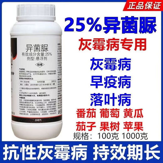 Special medicine for gray mold, iprodione fungicide, blight, cucumber, leek, tomato, strawberry, grape, fruit tree, gray mold pesticide 500g